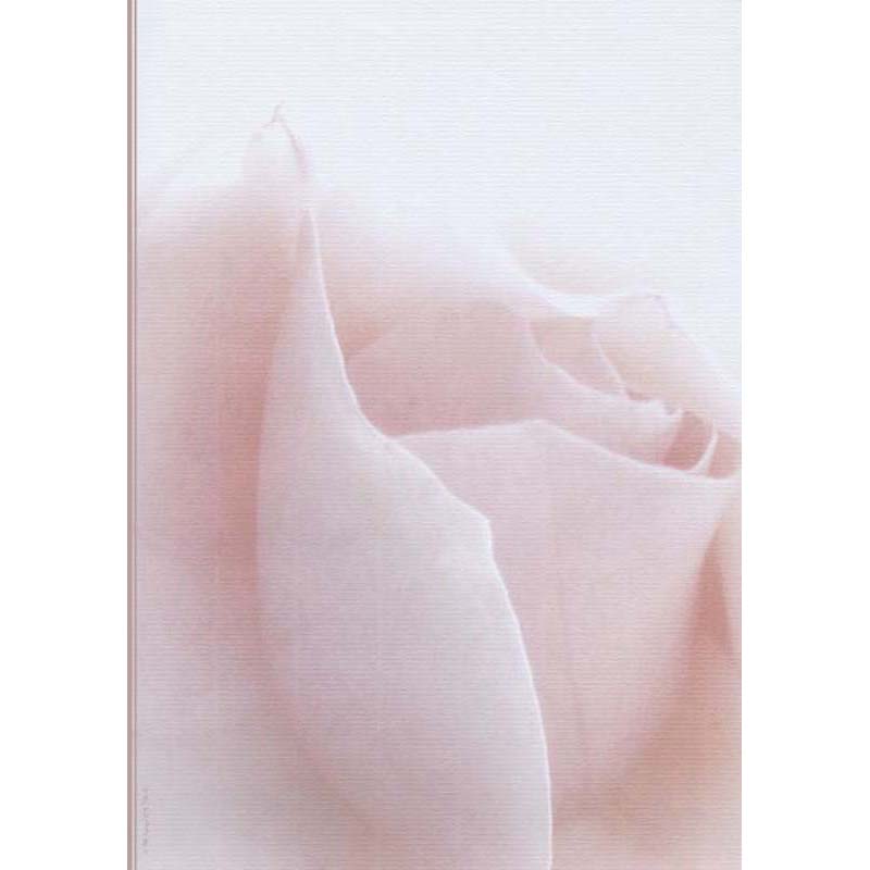 Artoz design papír rose rose