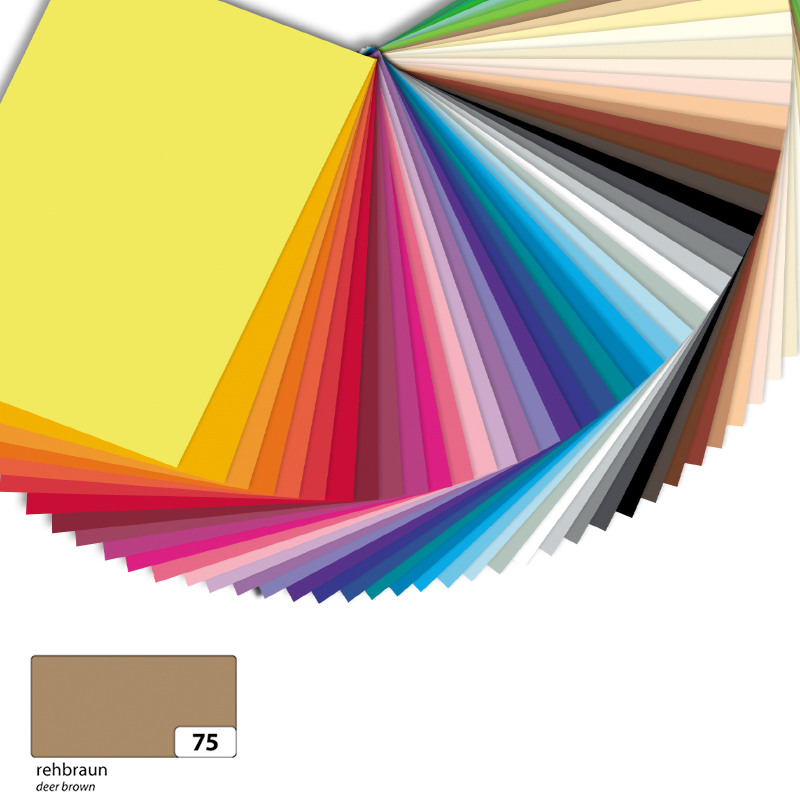 Folia dekorációs karton 50x70cm 130gr 10ív világos barna